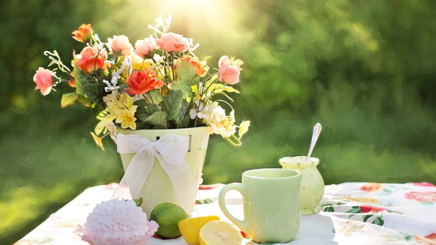 Beautiful morning and flowers Beautiful morning and flowers